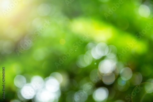 Abstract nature background and orange light blurred background.