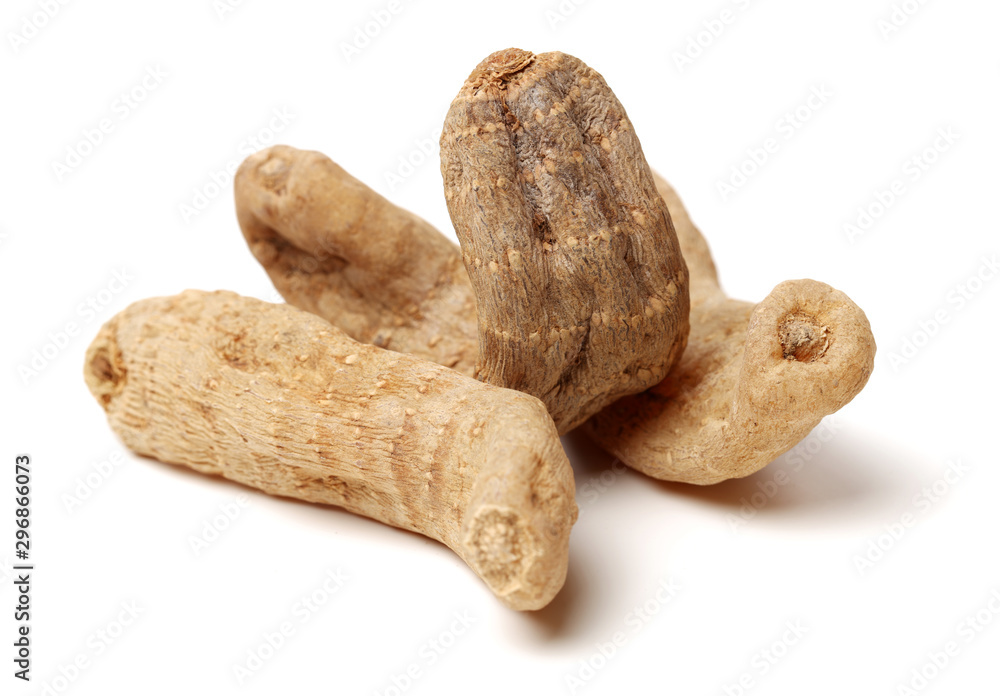 Gastrodia elata on white background Gastrodia elata on white background