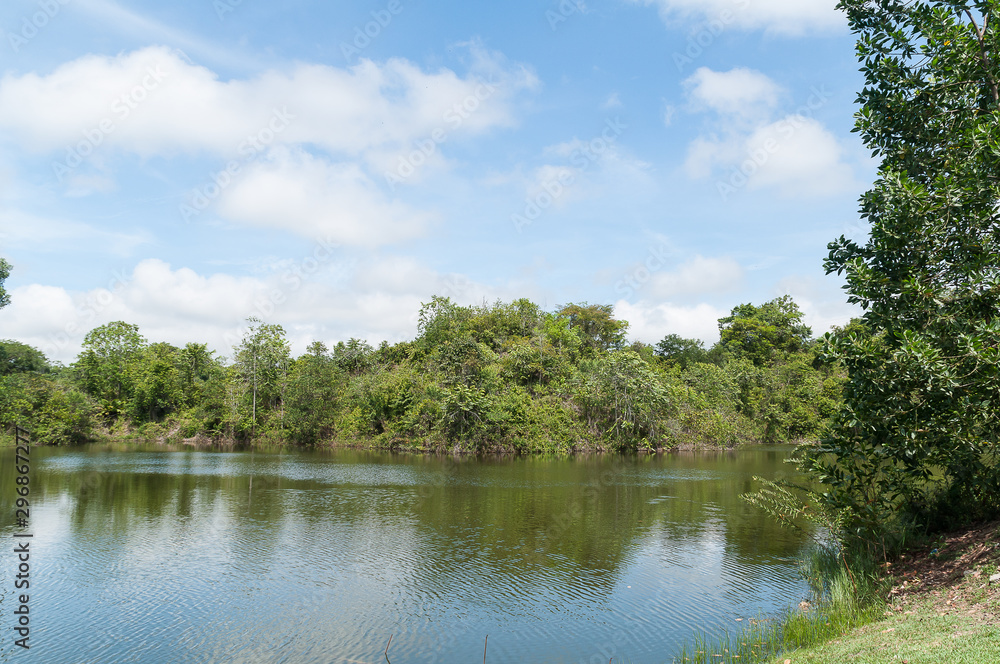 Beautiful and peaceful natural lake surrounded by trees on a sunny day. Beautiful and peaceful natural lake surrounded by trees on a sunny day.