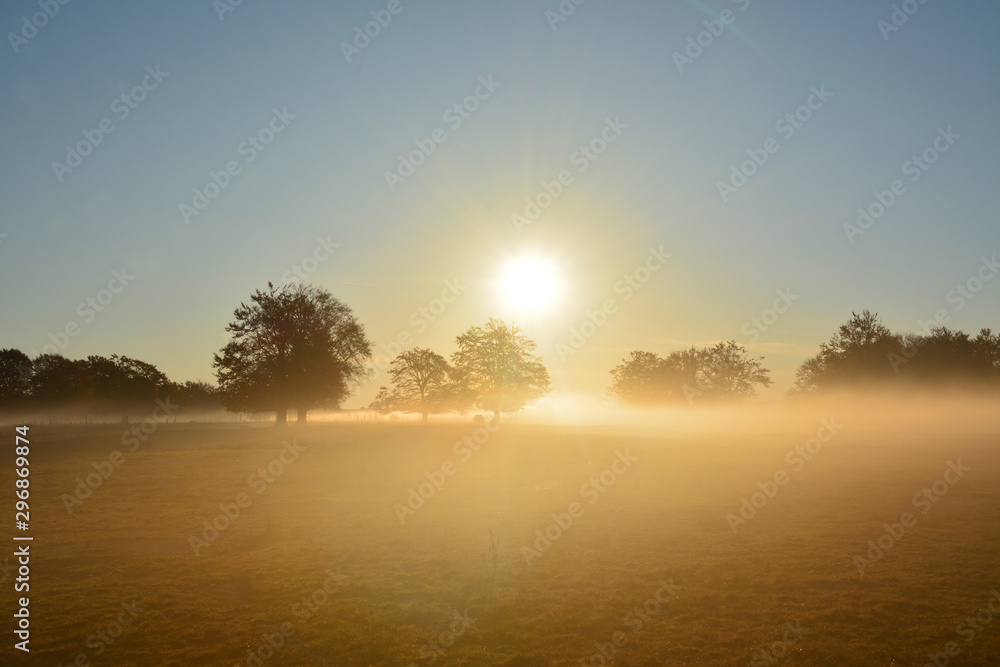 fog in the field in the evening
