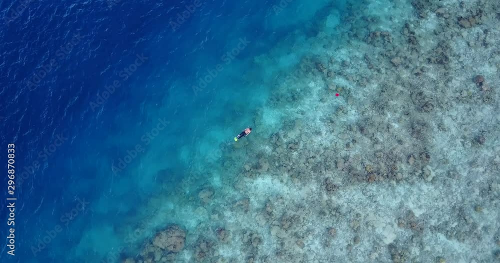 Very high view 360 of guy swimming over coral reef watching on emerald clean water beautiful seabed in The Maldives Very high view 360 of guy swimming over coral reef watching on emerald clean water beautiful seabed in The Maldives