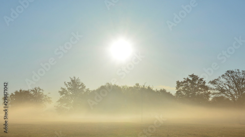 autumn morning with fog in the field