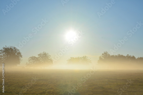 a layer of fog on the ground