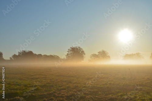 fog in the field in the evening