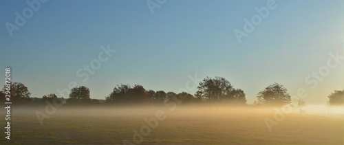 morning fog covering the field