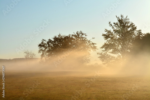 fog in the field in the evening © sebi_2569