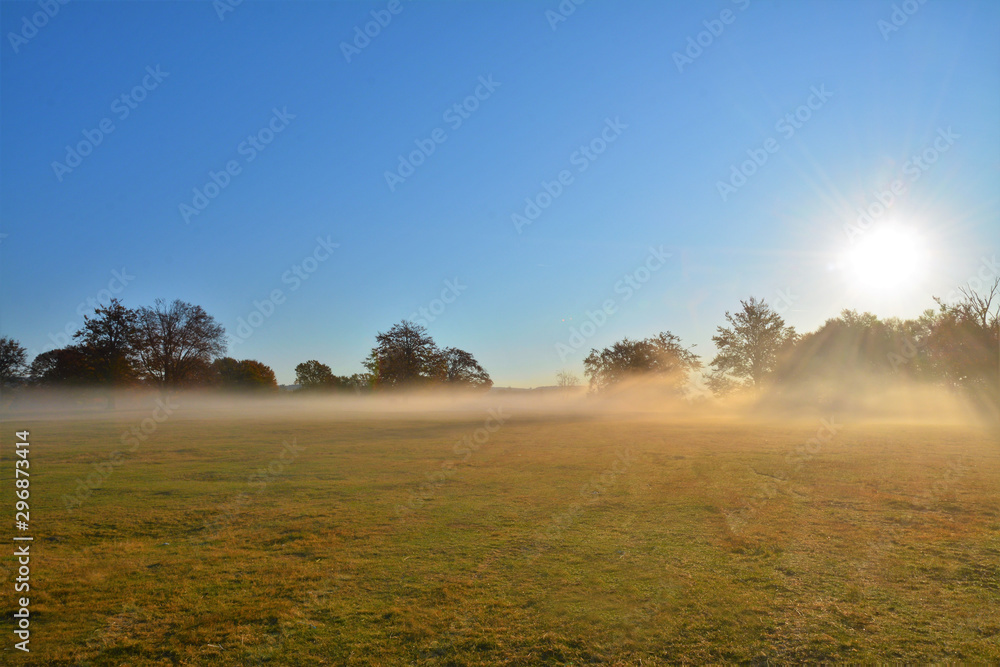 autumn morning with fog in the field