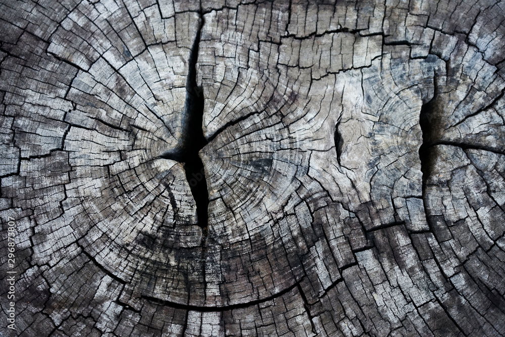 Fototapeta premium old wood texture background