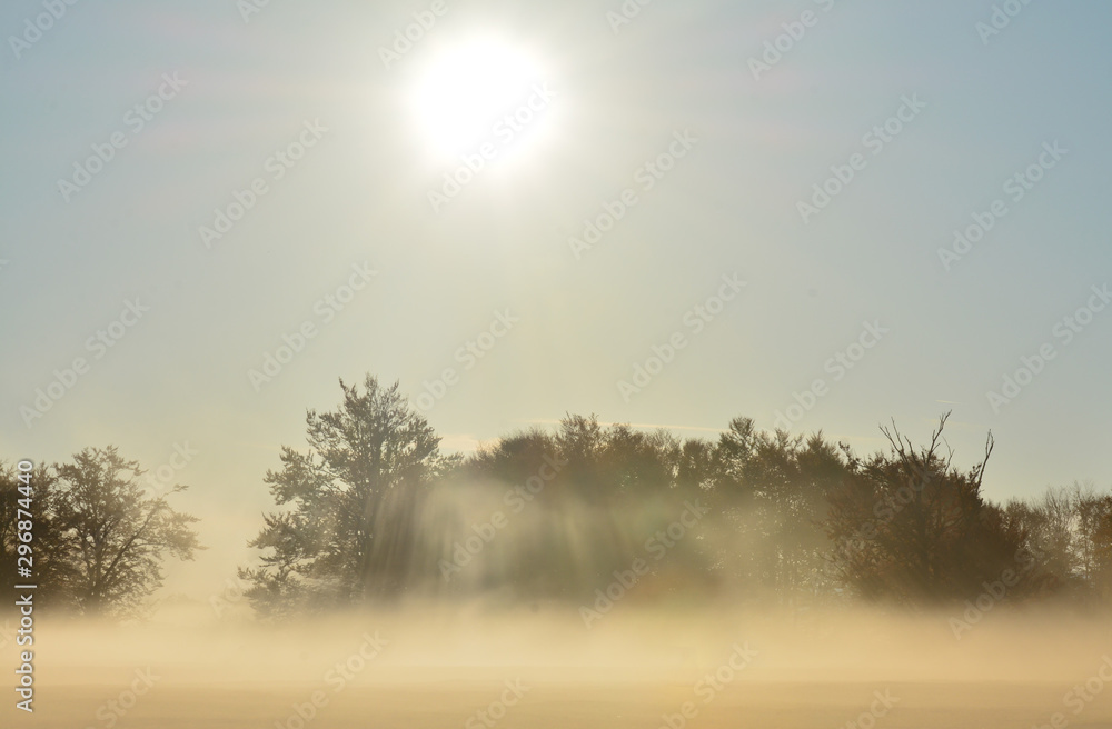 Obraz premium the sun's rays through the morning mist