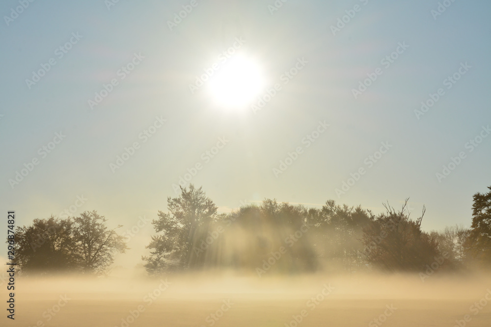 autumn morning with fog in the field autumn morning with fog in the field