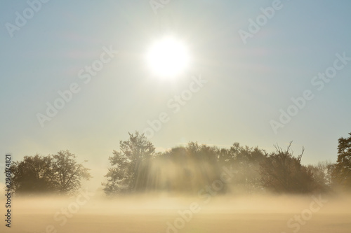Fototapeta Naklejka Na Ścianę i Meble -  autumn morning with fog in the field