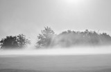 morning fog on the field