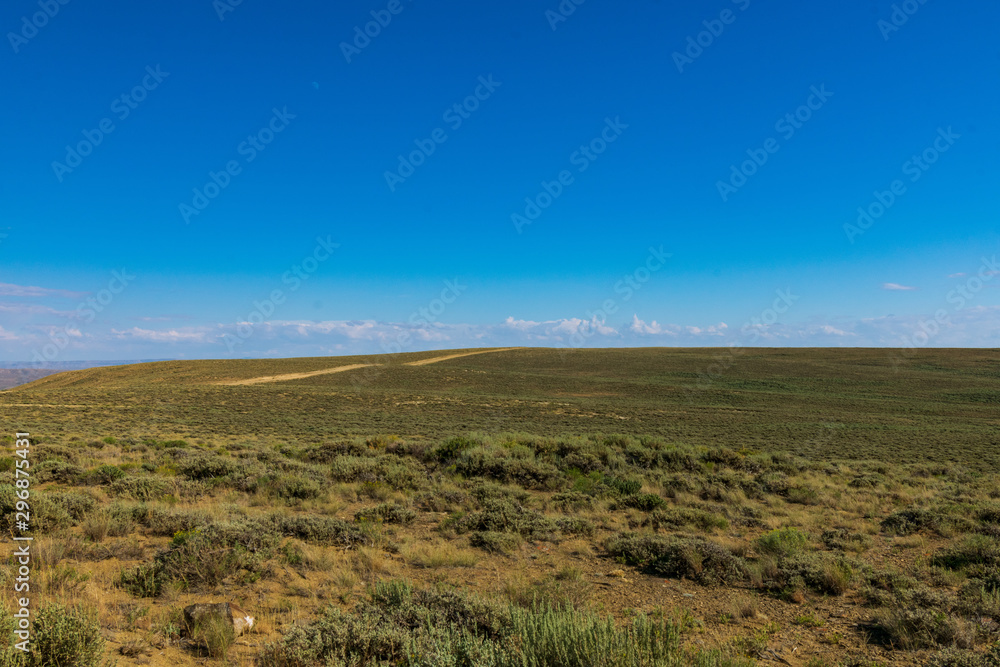 Bureau of Land Management, Wild Horse Range, Rock Springs Wyoming Bureau of Land Management, Wild Horse Range, Rock Springs Wyoming