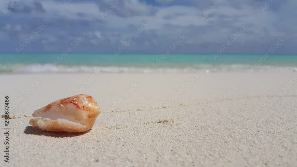 Design concept of tourism theme with beautiful seashell on white sand, blur background with turquoise waves and cloudy sky Design concept of tourism theme with beautiful seashell on white sand, blur background with turquoise waves and cloudy sky