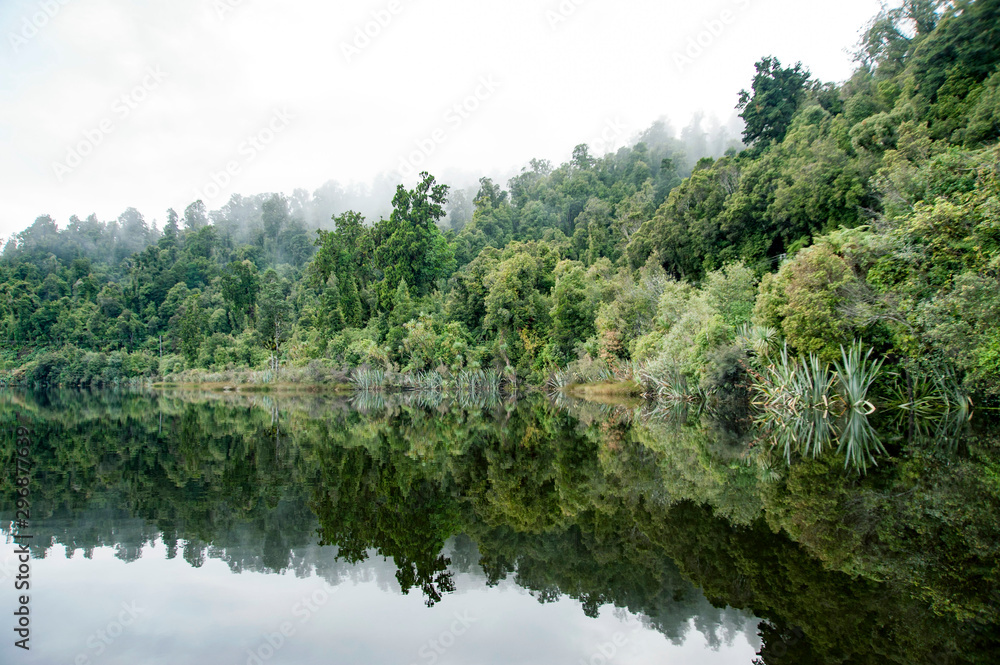 Beautiful scenery,Lake Mapourika,New Zealand Beautiful scenery,Lake Mapourika,New Zealand