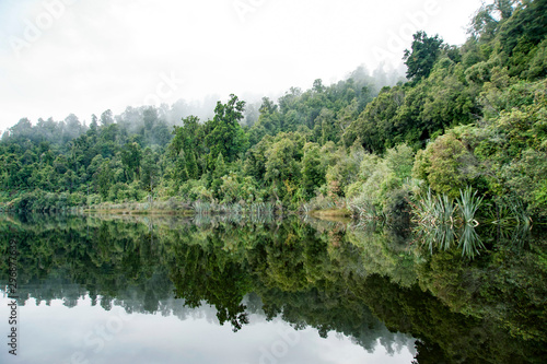 Beautiful scenery Lake Mapourika New Zealand