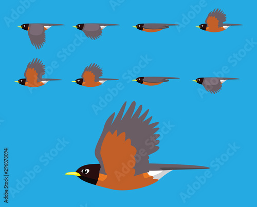 Bird American Robin Flying Cartoon Vector Animation Frame