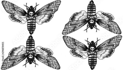 Foto Seamless pattern