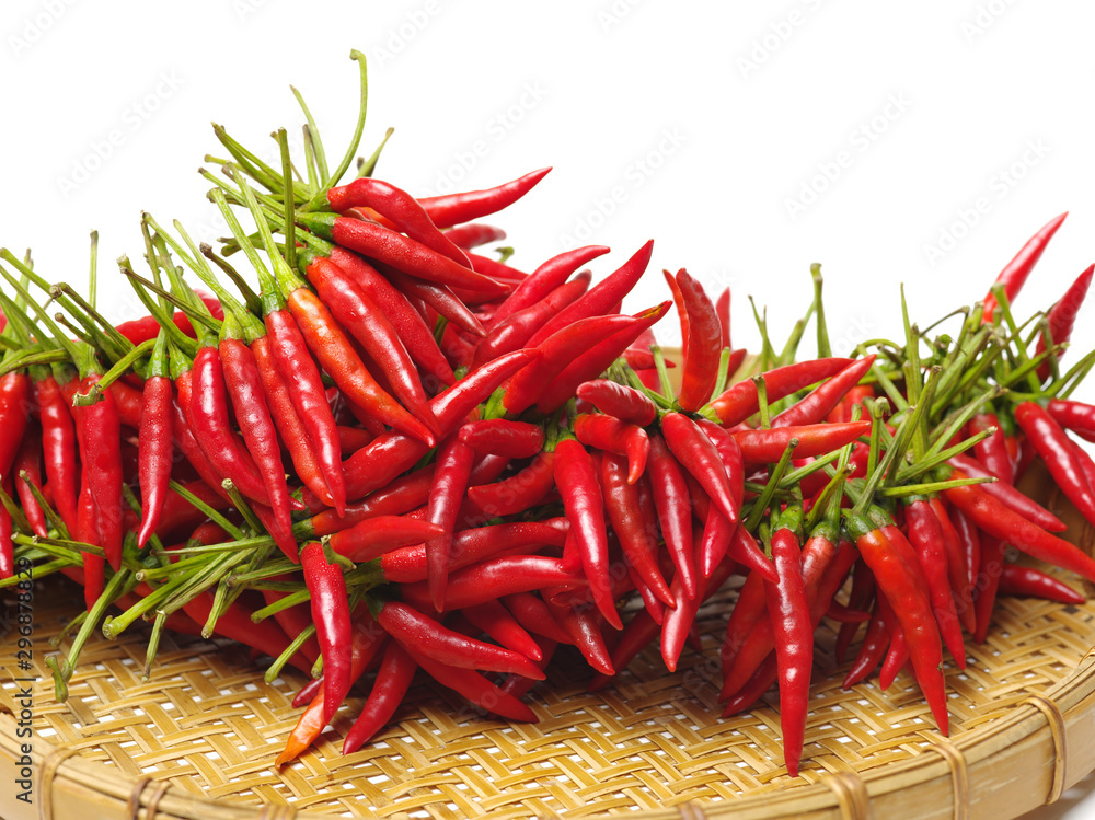 Hot red chili or chilli pepper isolated on white background Hot red chili or chilli pepper isolated on white background