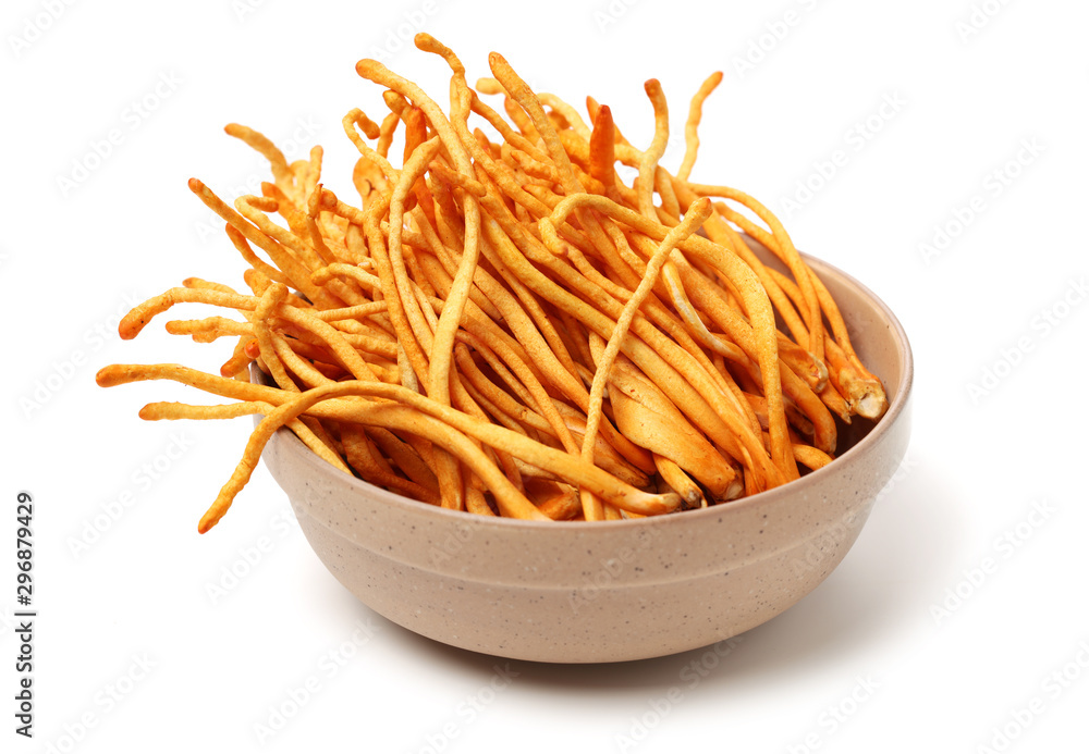 Fresh Cordyceps mushroom on white background Fresh Cordyceps mushroom on white background