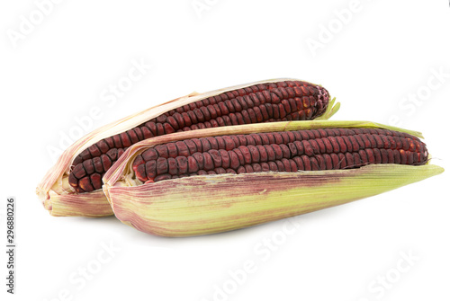 siam ruby queen corn isolated on white baqckground
