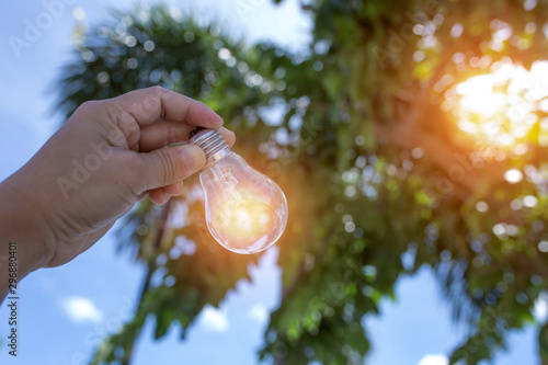 Light bulbs that grow, in the concept of energy in nature. -