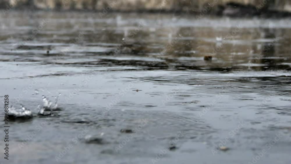 Raining droplets drop falling on ground of wet cements. Hard rain drop and splashing on cement ground. Raining droplets drop falling on ground of wet cements. Hard rain drop and splashing on cement ground.