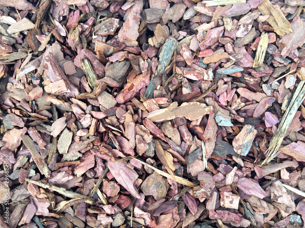 Background of pieces of tree bark. Natural wooden texture Background of pieces of tree bark. Natural wooden texture