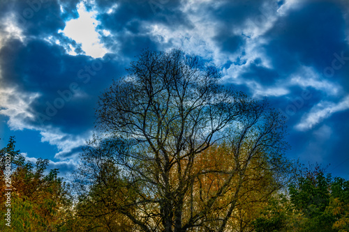 Autumn landscapes from the city park