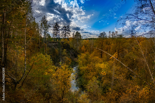 Autumn landscapes from the city park