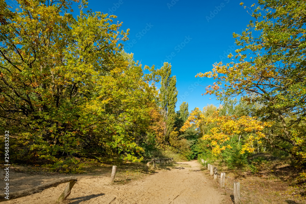 Naklejka premium Herbstliche Farbenpracht säumt den Spazierweg an der Binnendüne 