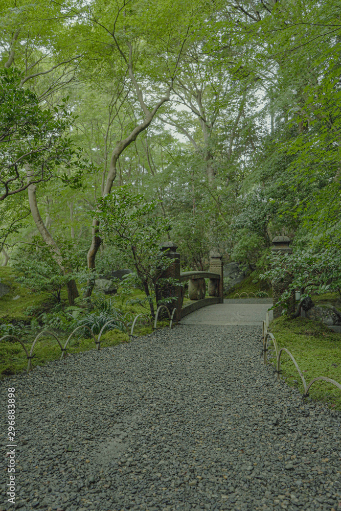 京都　瑠璃光院　お寺　写真素材　旅行　観光　日本庭園　寺　寺社仏閣