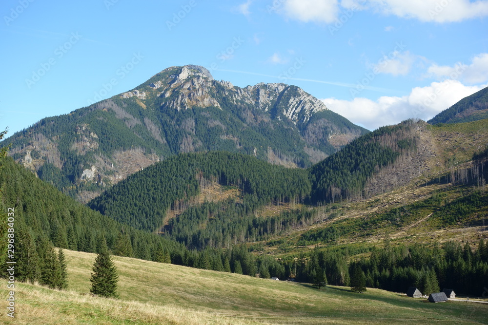 Autumn in the Tatra Mountains, landscapes of the Chocholowska Valley