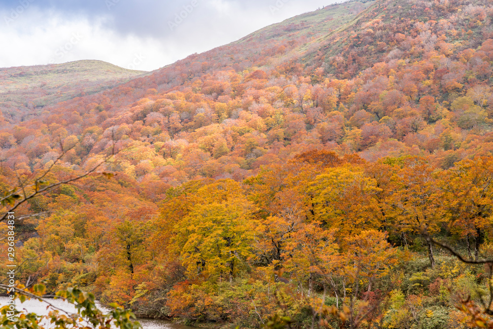 秋色　栗駒須川湖の紅葉