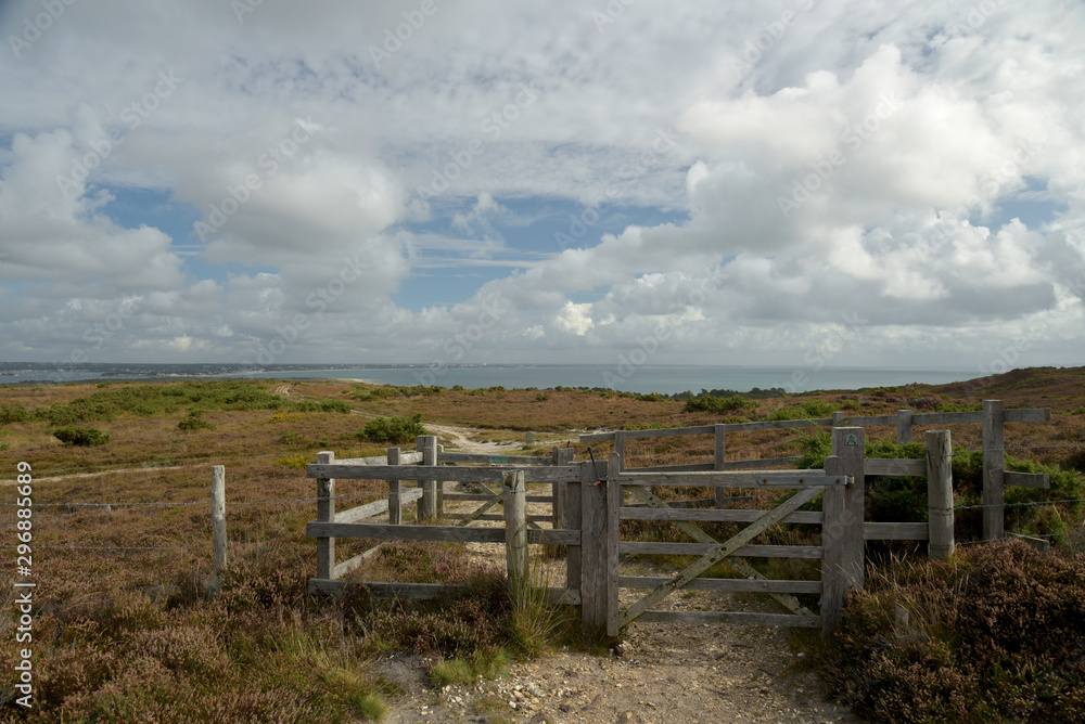 Godlingston Heath moorland and landscape near Swanage, Dorset on the south coast