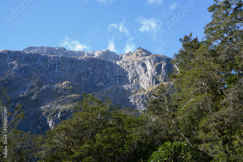 Wallpaper Mural View of rocky mountain from beech forest in Milford Sound,New Zealand. Torontodigital.ca