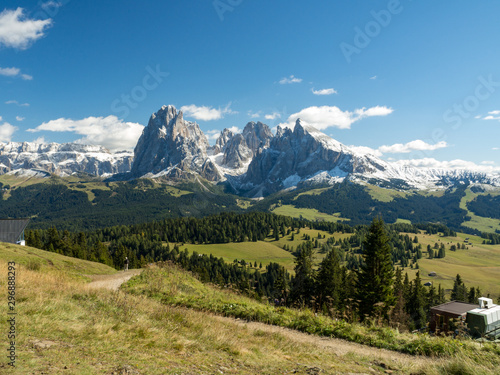 Italy, september 2017: Breathtaking landscape of Secada, Ortisei, Italy. Focus on Dolomite mountain and blurred foreground of yellow wild flower field © ikmerc