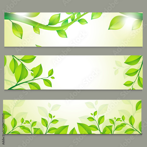 Ecological website headers with green leaves.