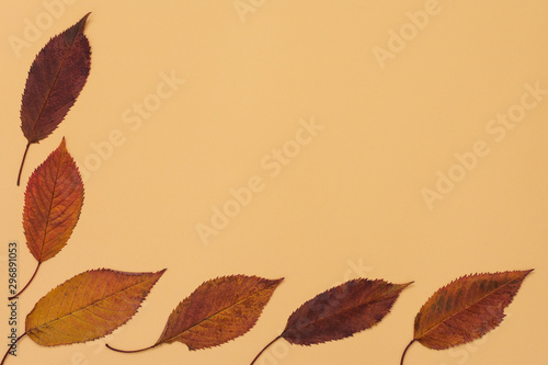 Fallen sweet cherry leaves on yellow background, autumn concept, flat lay, top view,copy space