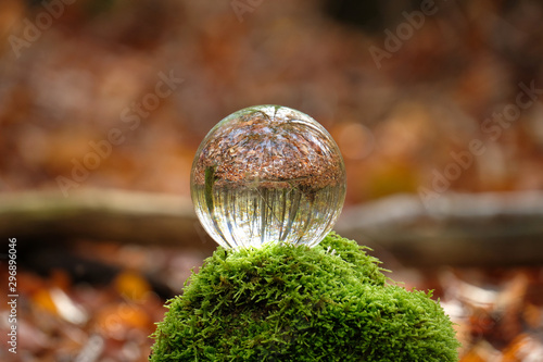 Photos Reflection of trees, leaves and forest with beautiful autumn colour inside lensball