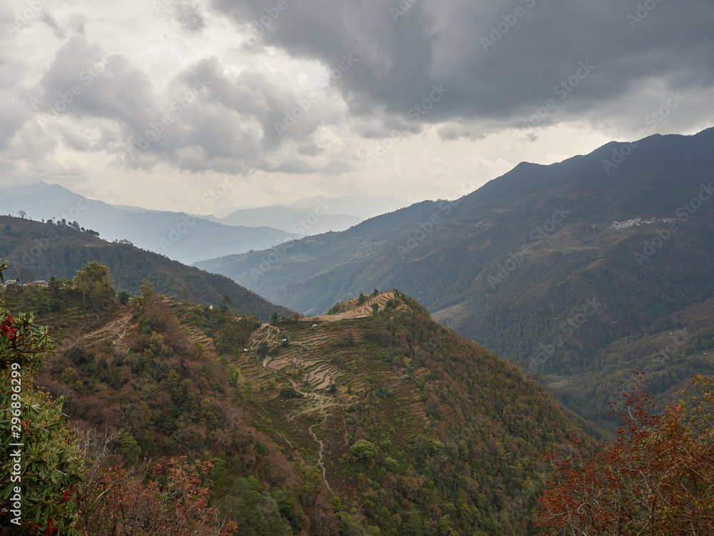 Harvested rice terraces on a hill in a remote village in the Himalayas. Cloudy autumn day. Nepal