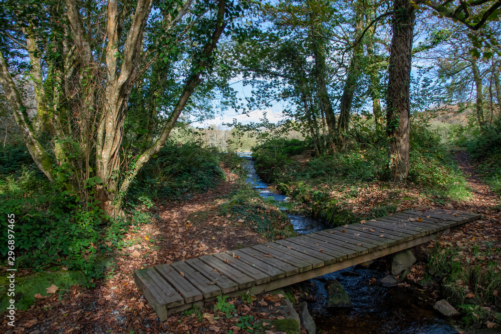 A slatted wooden bridge over a woodland stream in autumn A slatted wooden bridge over a woodland stream in autumn