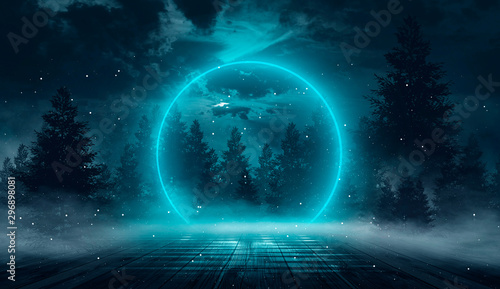 Abstract night landscape. N...