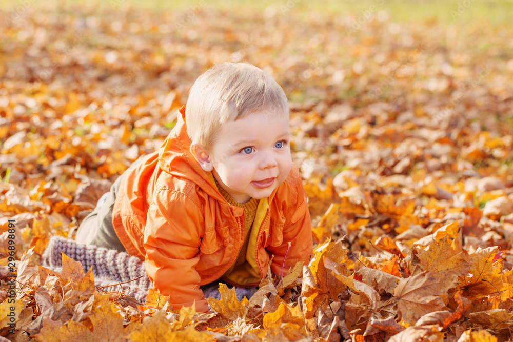 little baby in sunny autumn park