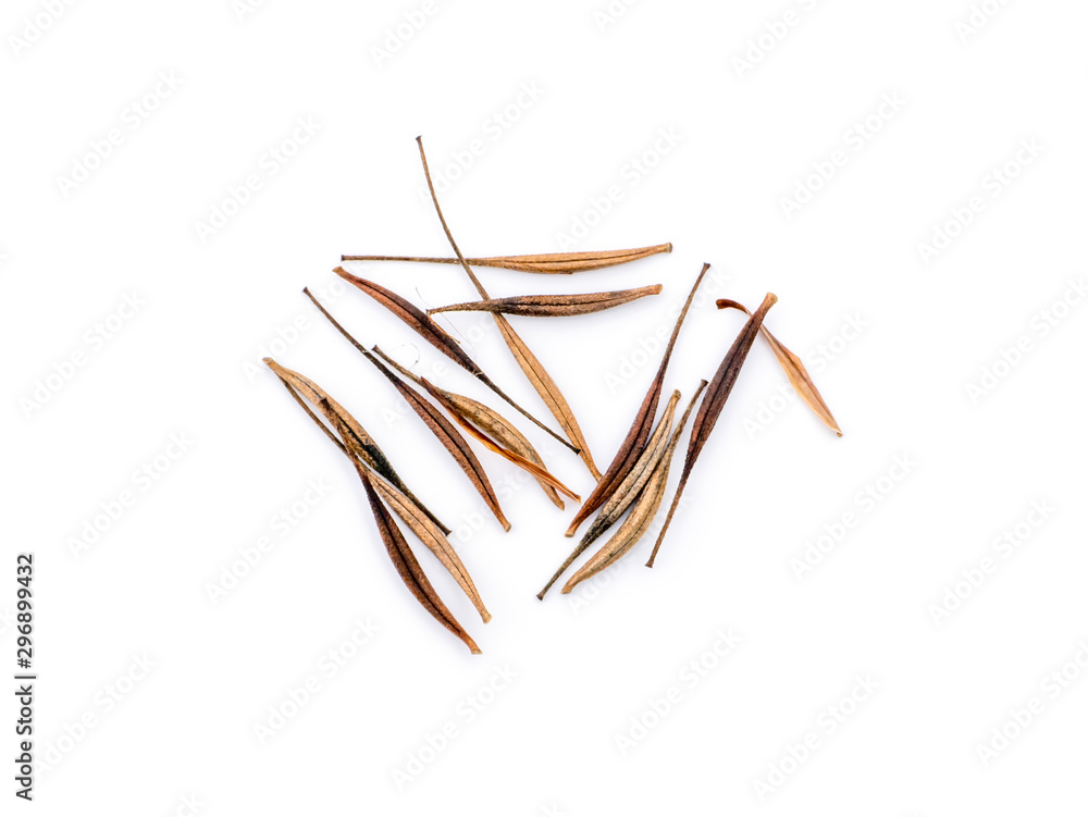 Obraz premium Close up cosmos seeds on white background.