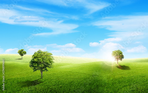 Beautiful landscape view of green trees with grass natural meadow field and little hill with white clouds and blue sky in summer seasonal.