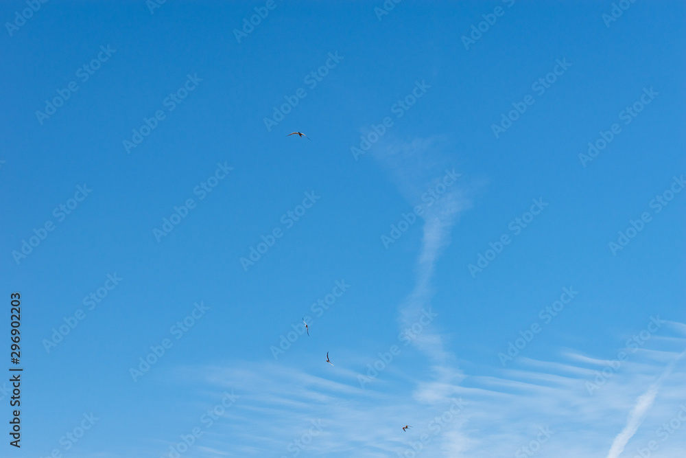 Fototapeta premium Blauer Himmel
