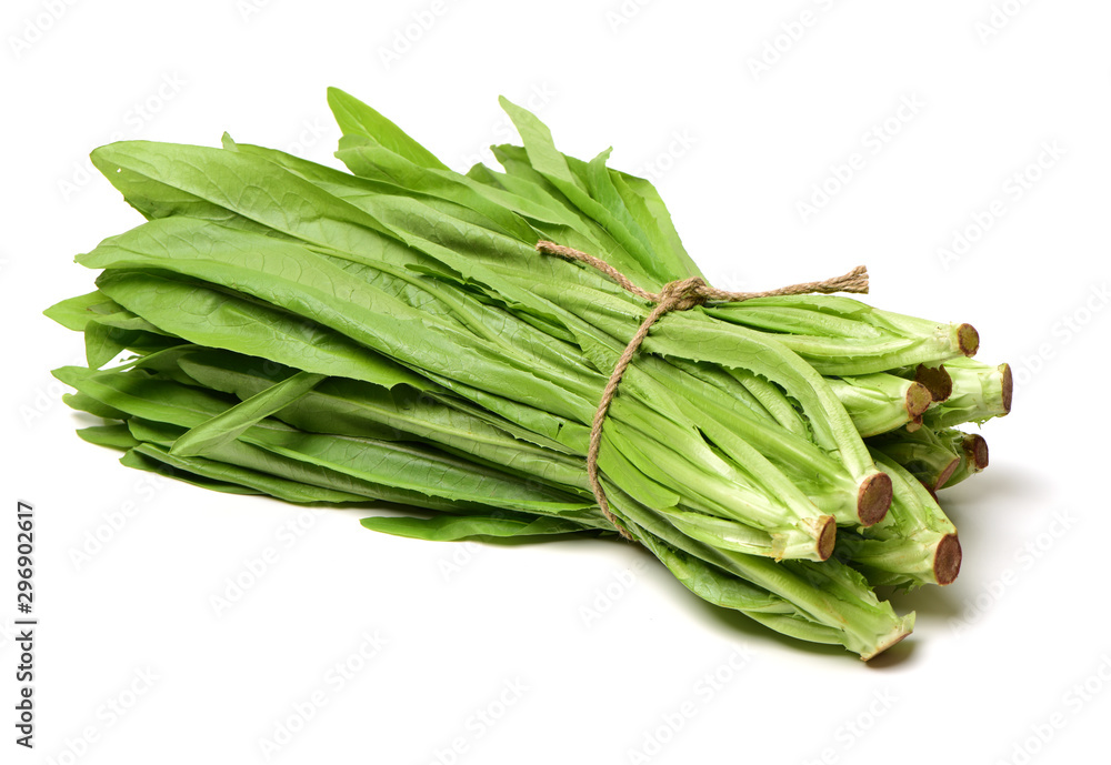 Lactuca sativa L on white background Lactuca sativa L on white background