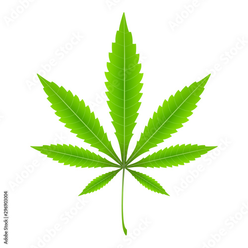 Marijuana leaf