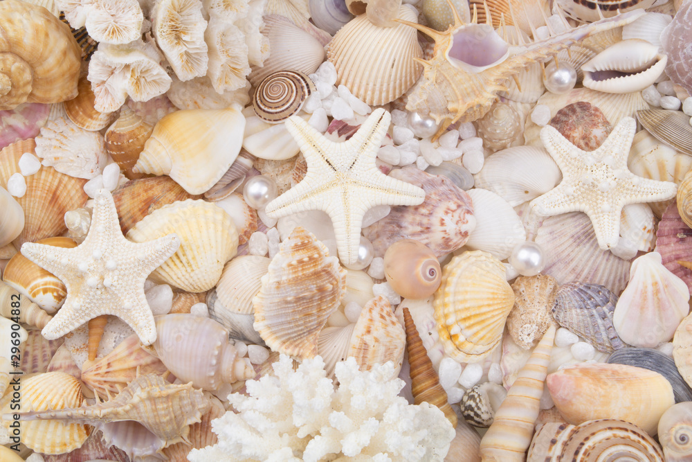 Seashells, pearls and starfishes as background Seashells, pearls and starfishes as background